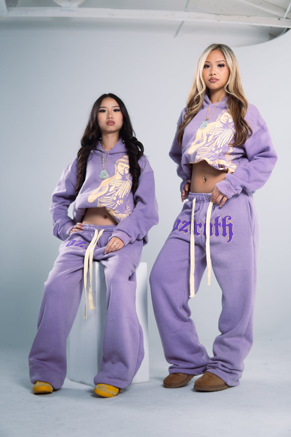 (PREMADE) V2 PURPLE OZTRUTH HOODIE